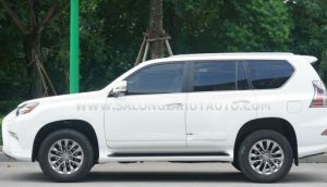 Xe Lexus GX 460 2015