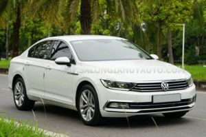 Xe Volkswagen Passat 1.8 TSI 2018
