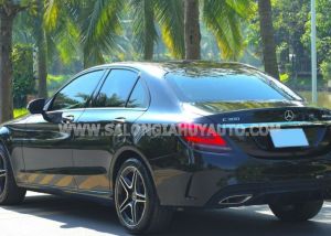 Xe Mercedes Benz C class C250 Exclusive 2016